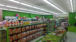 비오비애완용품아울렛 수송점