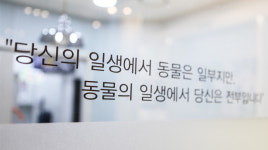 온유동물병원 수원