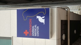 신원동물메디컬센터