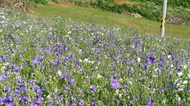 산이랑별이랑농장 민박