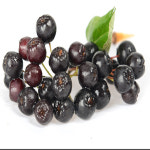 순창군조합공동사업법인산지유통센터