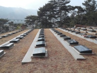 하늘천상조
