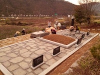 하늘천상조