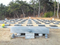 하늘원상조프리마 | 하늘천상조