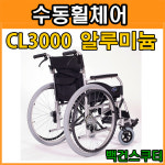 백건스쿠터