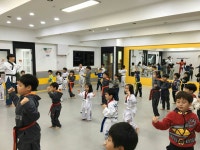 쌍문동 경희대 국가대표태권도