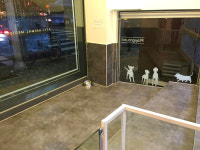 아띠동물의료센터