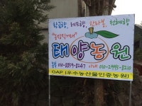 태양농원