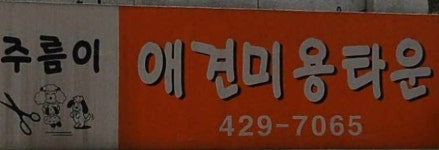 주름이애견미용타운