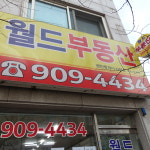 월드공인중개사사무소