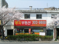 양지공인중개사사무소