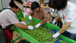 농업회사법인풀빛