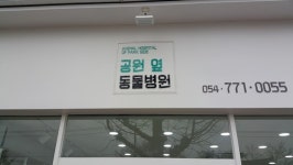 공원옆동물병원