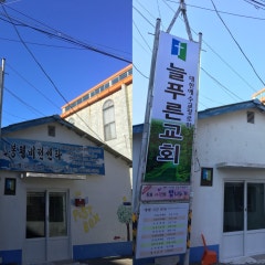 늘푸른교회