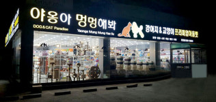 야옹아멍멍해봐 진천점