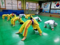 한국체대비전태권도