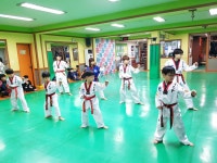 한국체대비전태권도