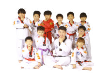 한국체대비전태권도