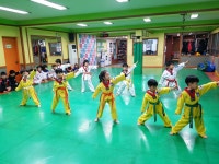 한국체대비전태권도