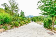 광릉솔개캠핑장