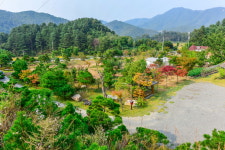 솔향펜션