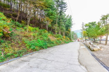 용인랜드숲속캠핑장