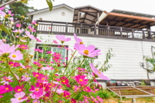 용인별바라기