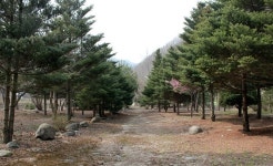 모야의숲캠핑장