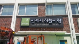sok디자인