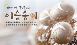 농업회사법인이슬송이농산