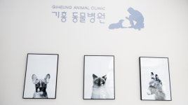 기흥동물병원