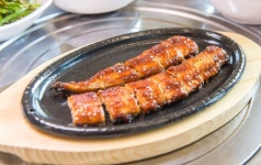 힘력풍천장어