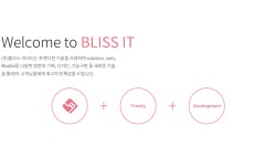 블리스아이티