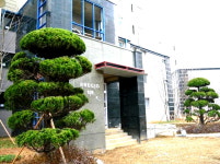 두정이편한공인중개사사무소