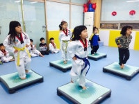 챔프태권도