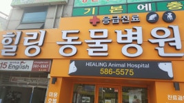 힐링동물병원