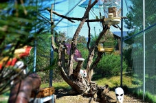 힐링리조트 단풍마을휴펜션