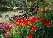 들꽃이야기펜션