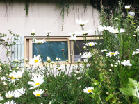 들꽃이야기펜션