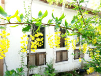 들꽃이야기펜션