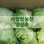 사랑쌈농장