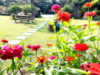 들꽃이야기펜션