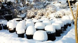 들꽃이야기펜션