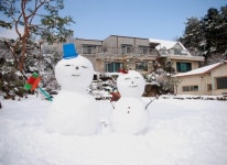 들꽃이야기펜션