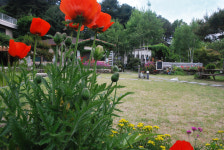 들꽃이야기펜션