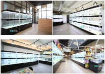 코코애견분양장