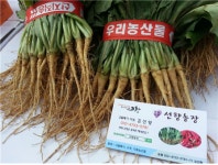 선향농장