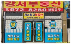 강서합동공인중개사사무소