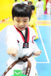 한국체대석사태권도