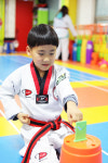 한국체대석사태권도